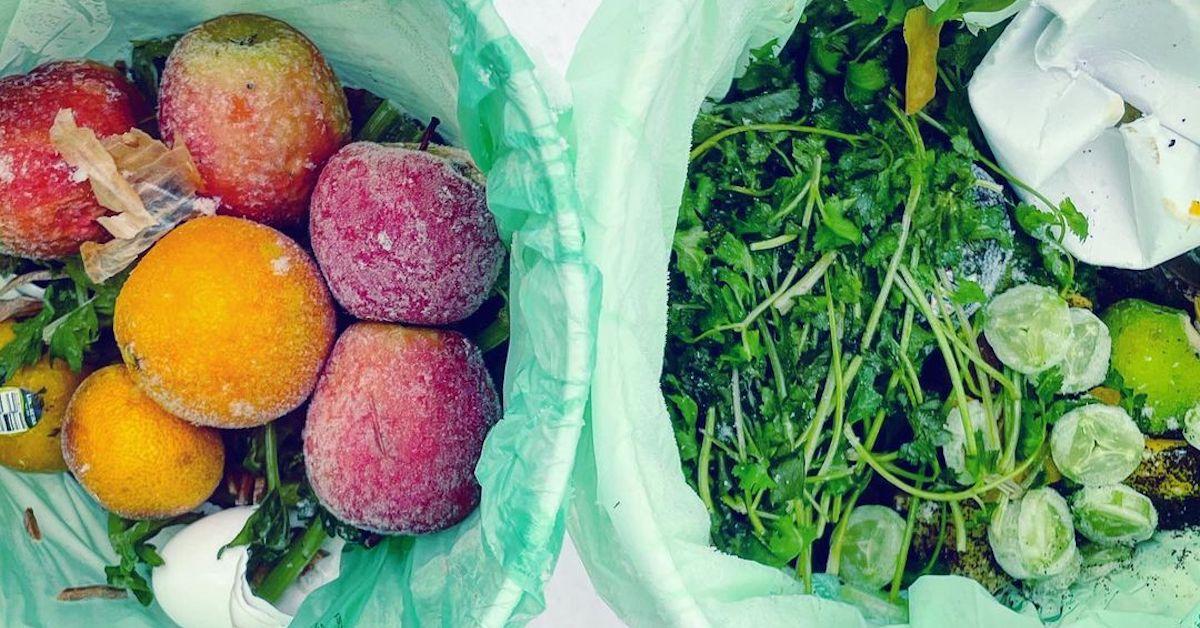 Compostable Bags